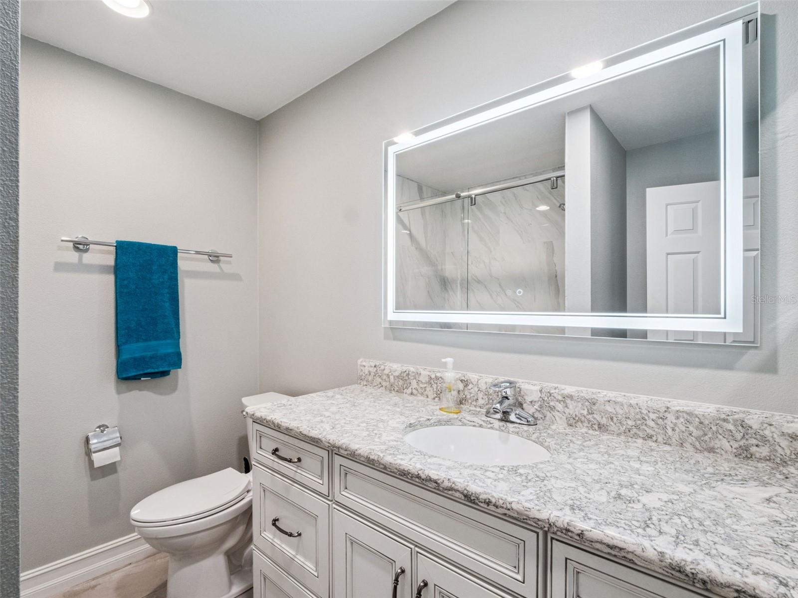 Updated Guest Bath