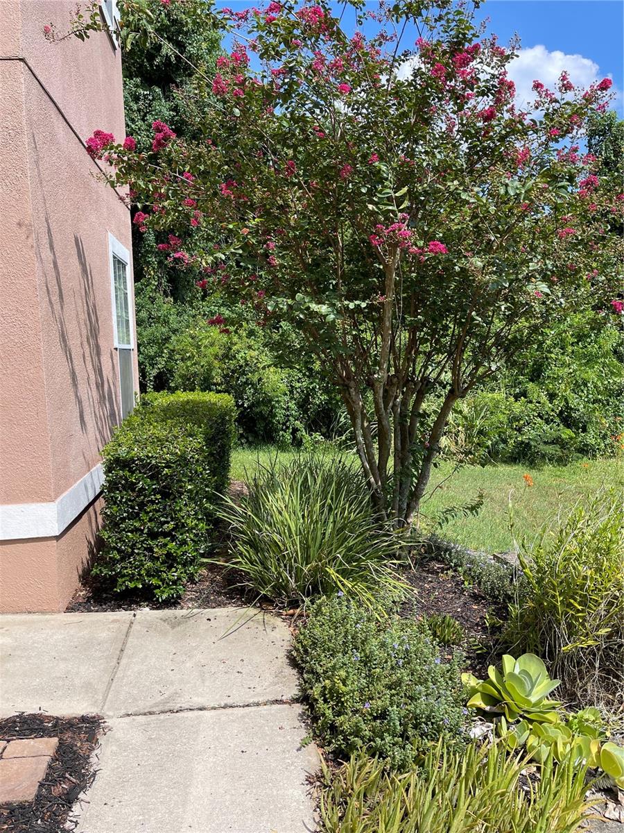 7617 BAY PORT ROAD, #57, Orlando, FL 32819