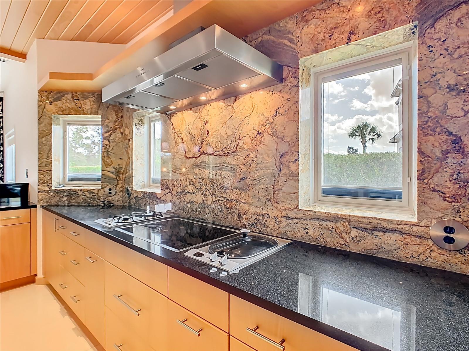 917 DESERT MOUNTAIN COURT, Reunion, FL 34747