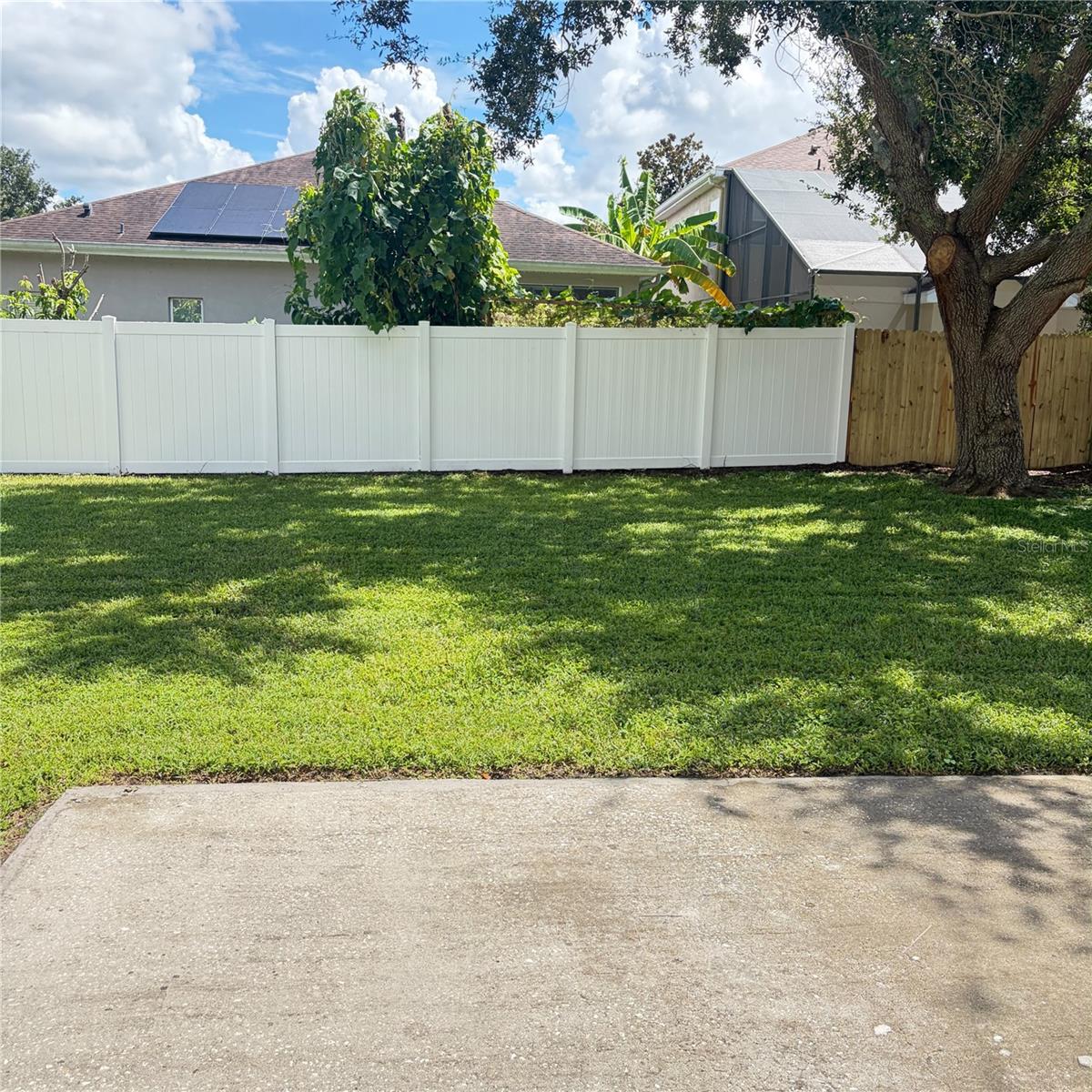Backyard