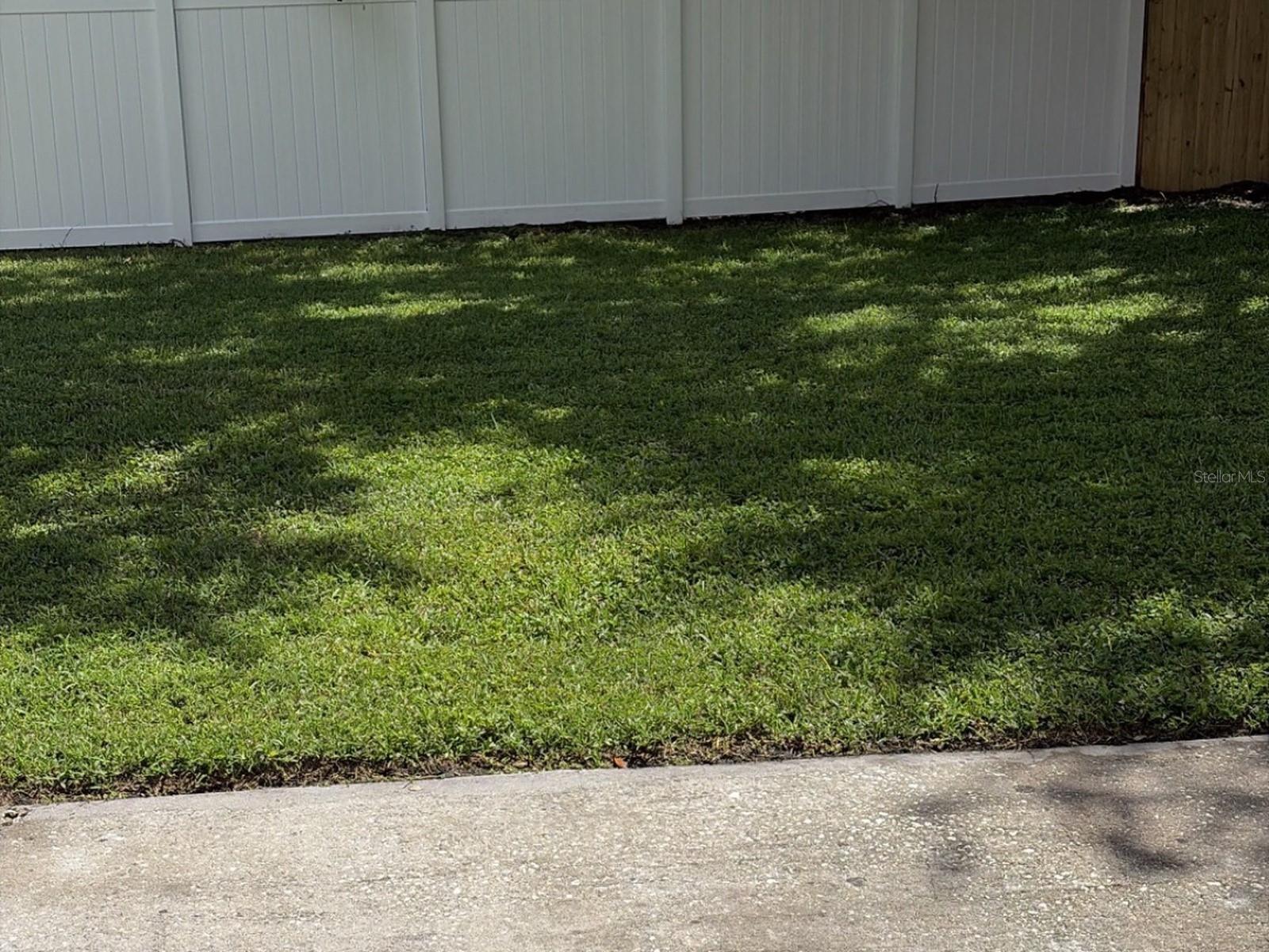 Backyard