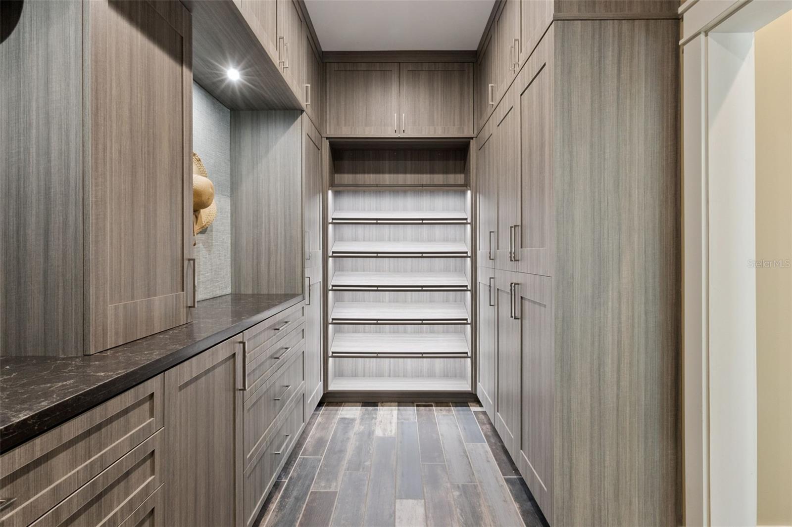 Master Bedroom custom closet