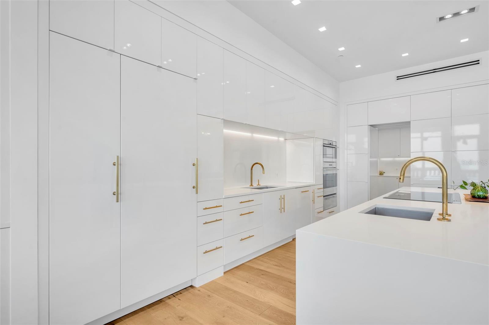 Kitchen with built-in appliances