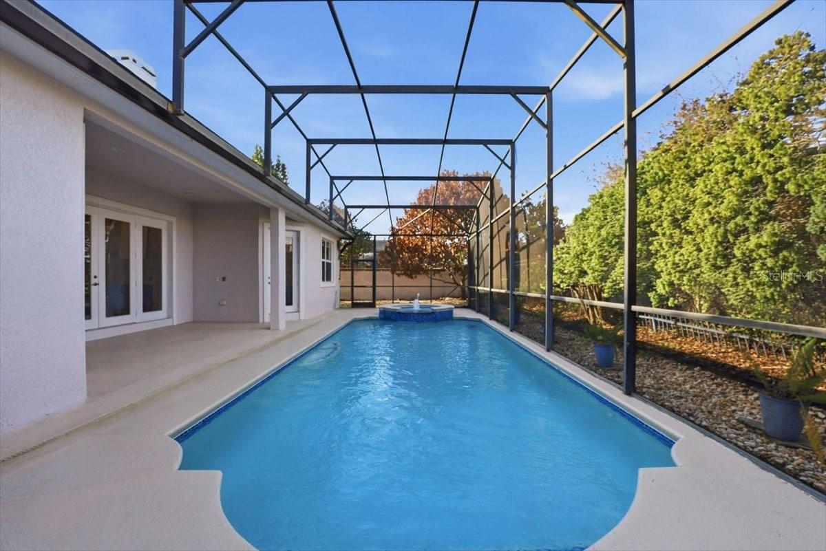 bouganvillia digitally enhanced