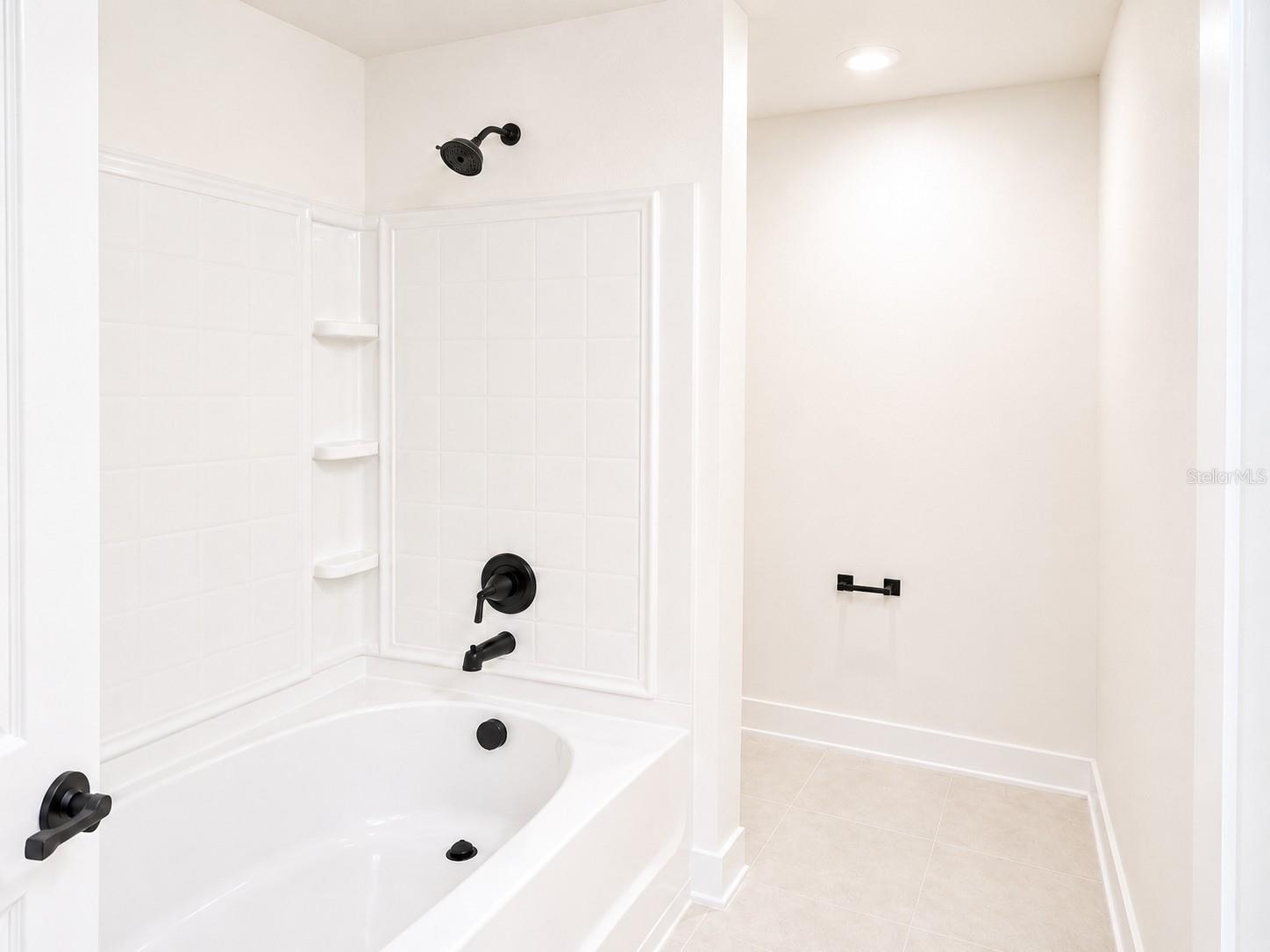 Master Shower/Tub