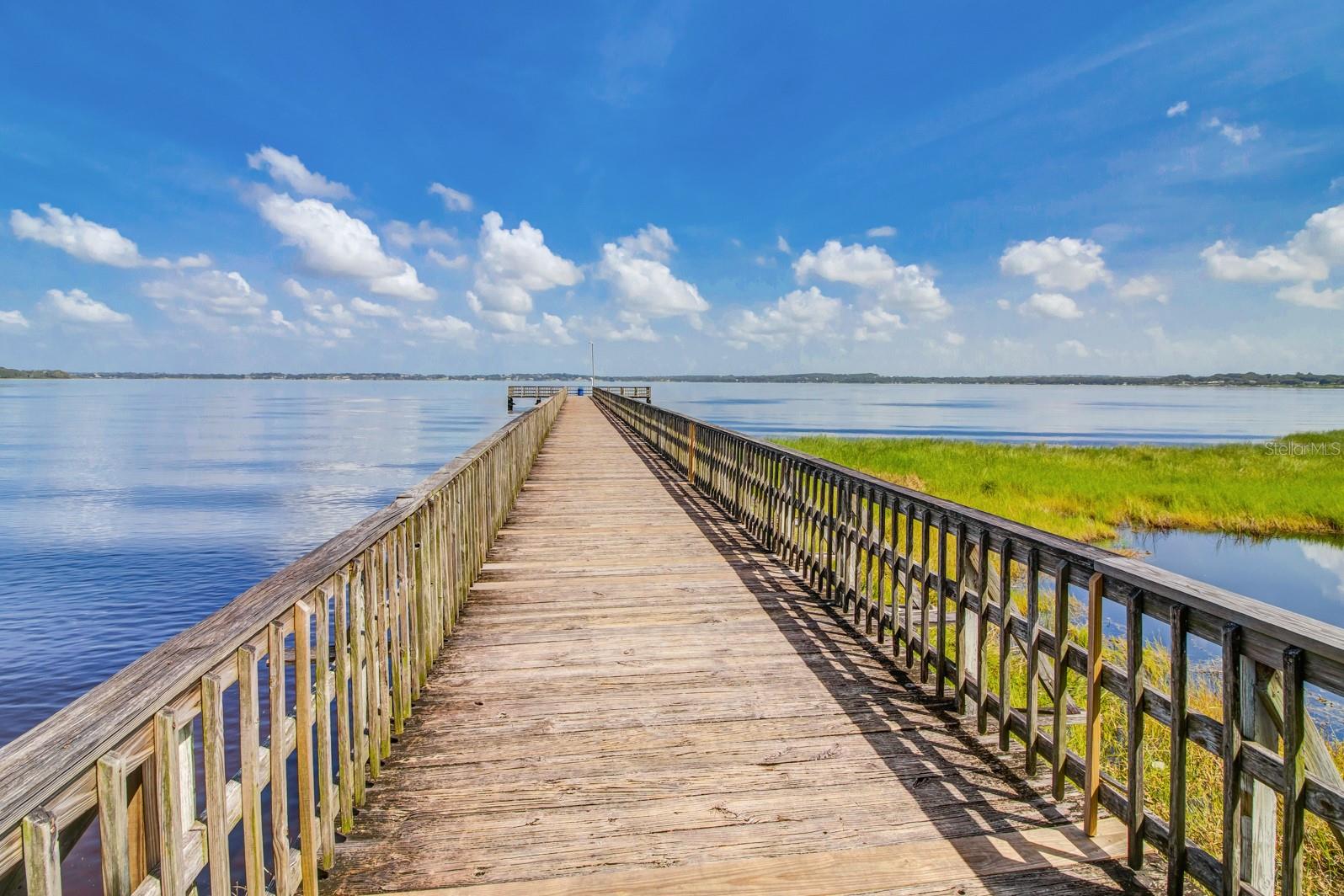 951 VINEYARD RIDGE ROAD, Minneola, FL 34715