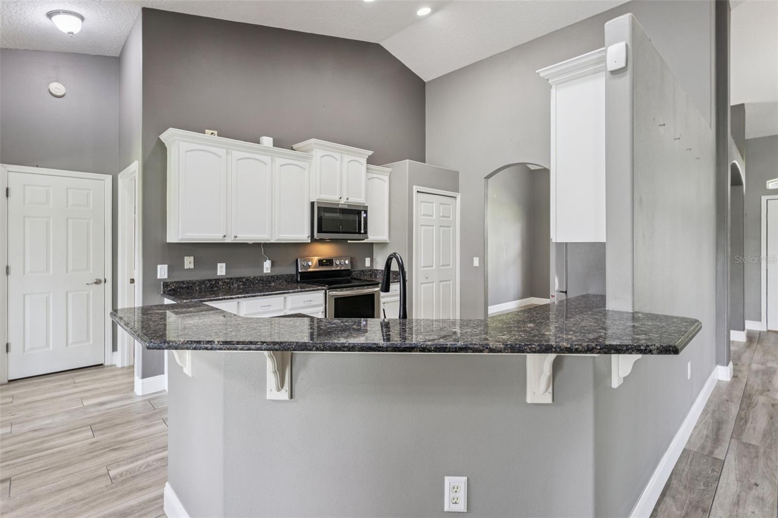 31038 FAIRVISTA DRIVE, Tavares, FL 32778