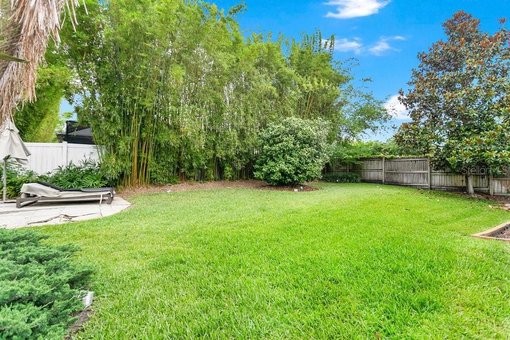 Freshly Landscaped back yard