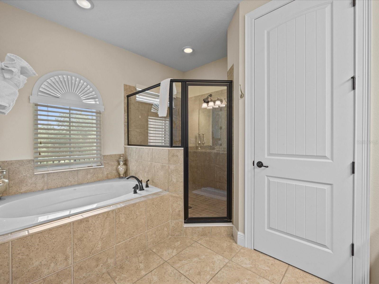 761 DESERT MOUNTAIN COURT, Kissimmee, FL 34747
