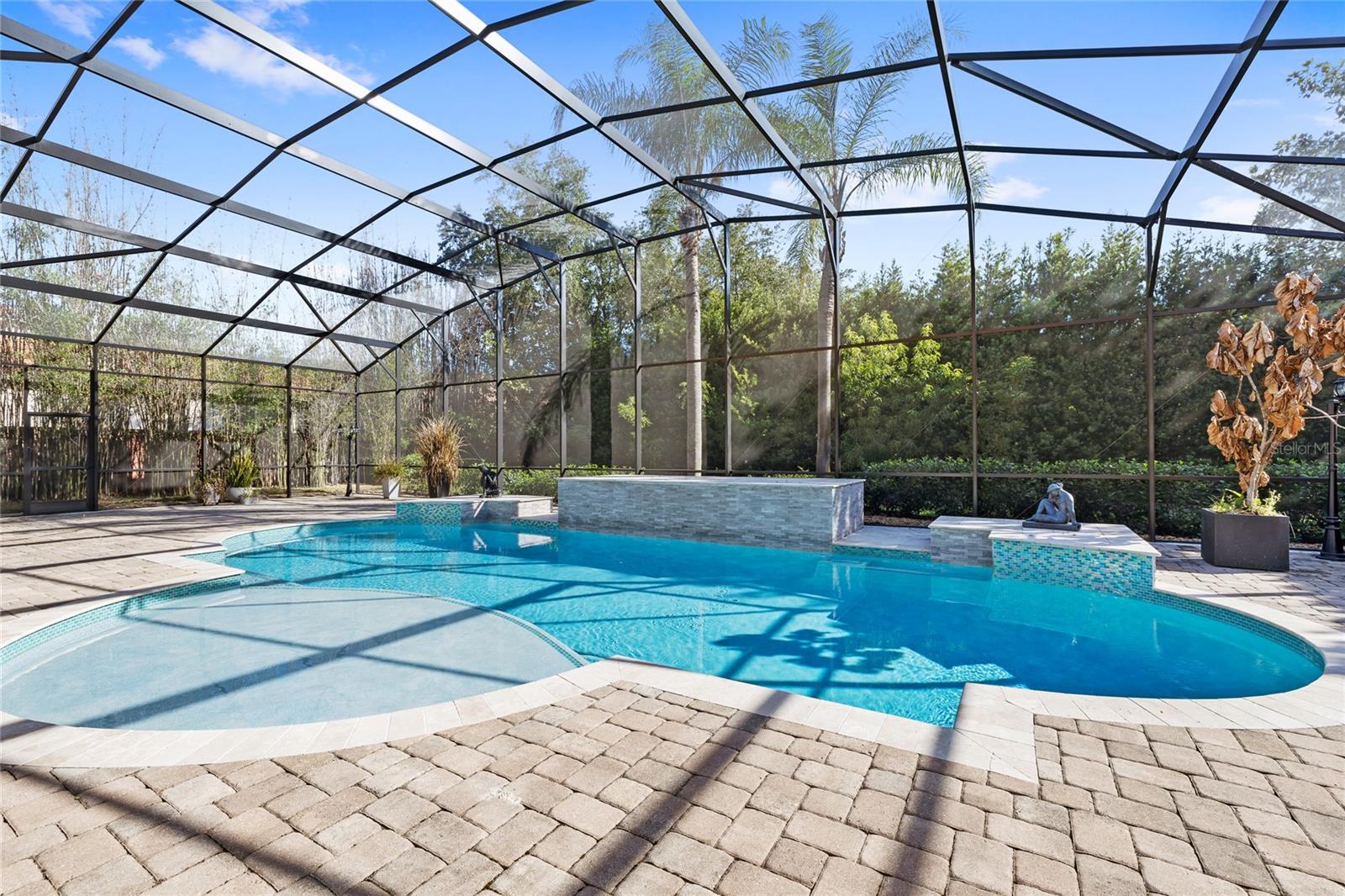 Pool was completely redesigned - new screen enclosure and all new salt system pool equipment added.