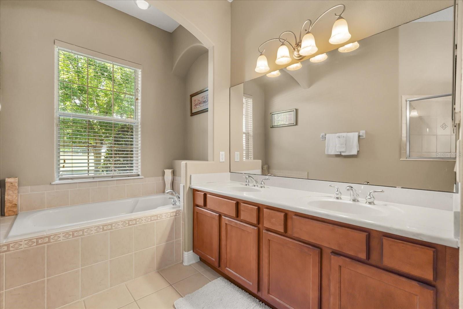 7708 EXCITEMENT DRIVE, Reunion, FL 34747