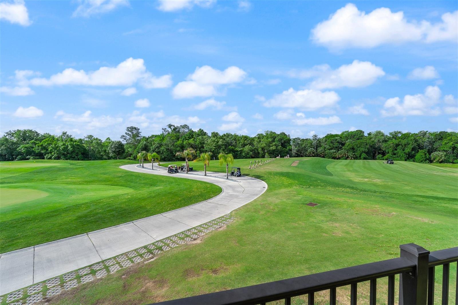 856 DRIVING RANGE COURT, Reunion, FL 34747