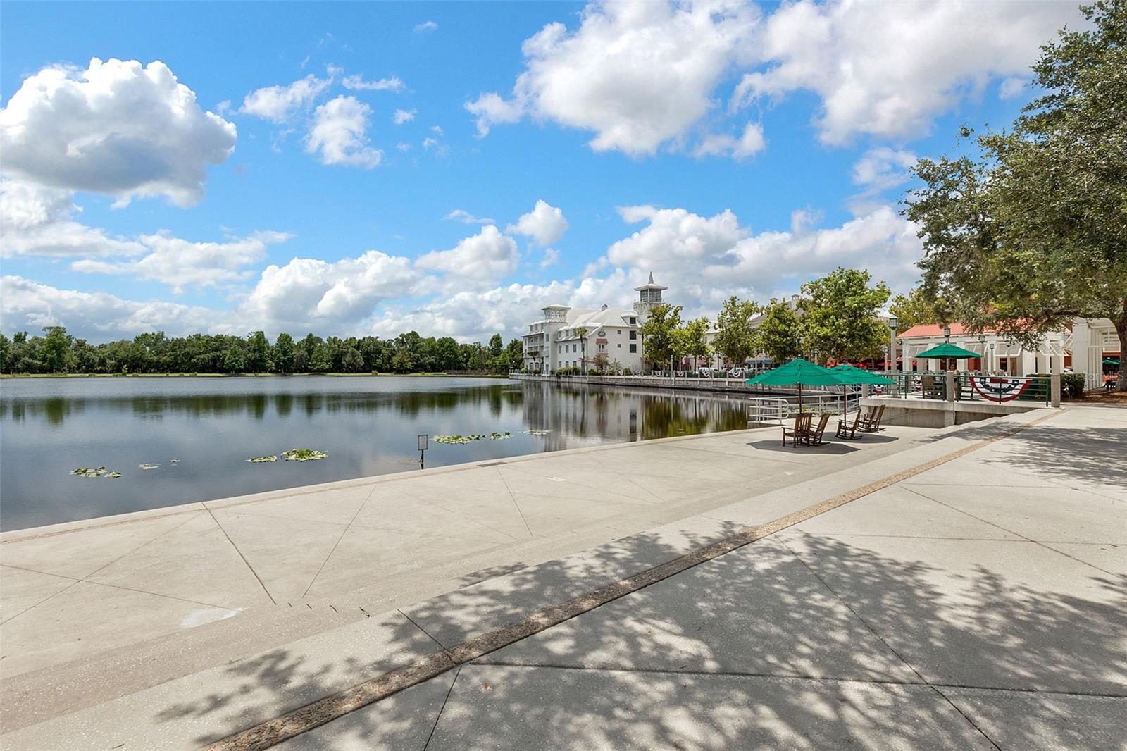 206 NORFOLK PLACE, Celebration, FL 34747