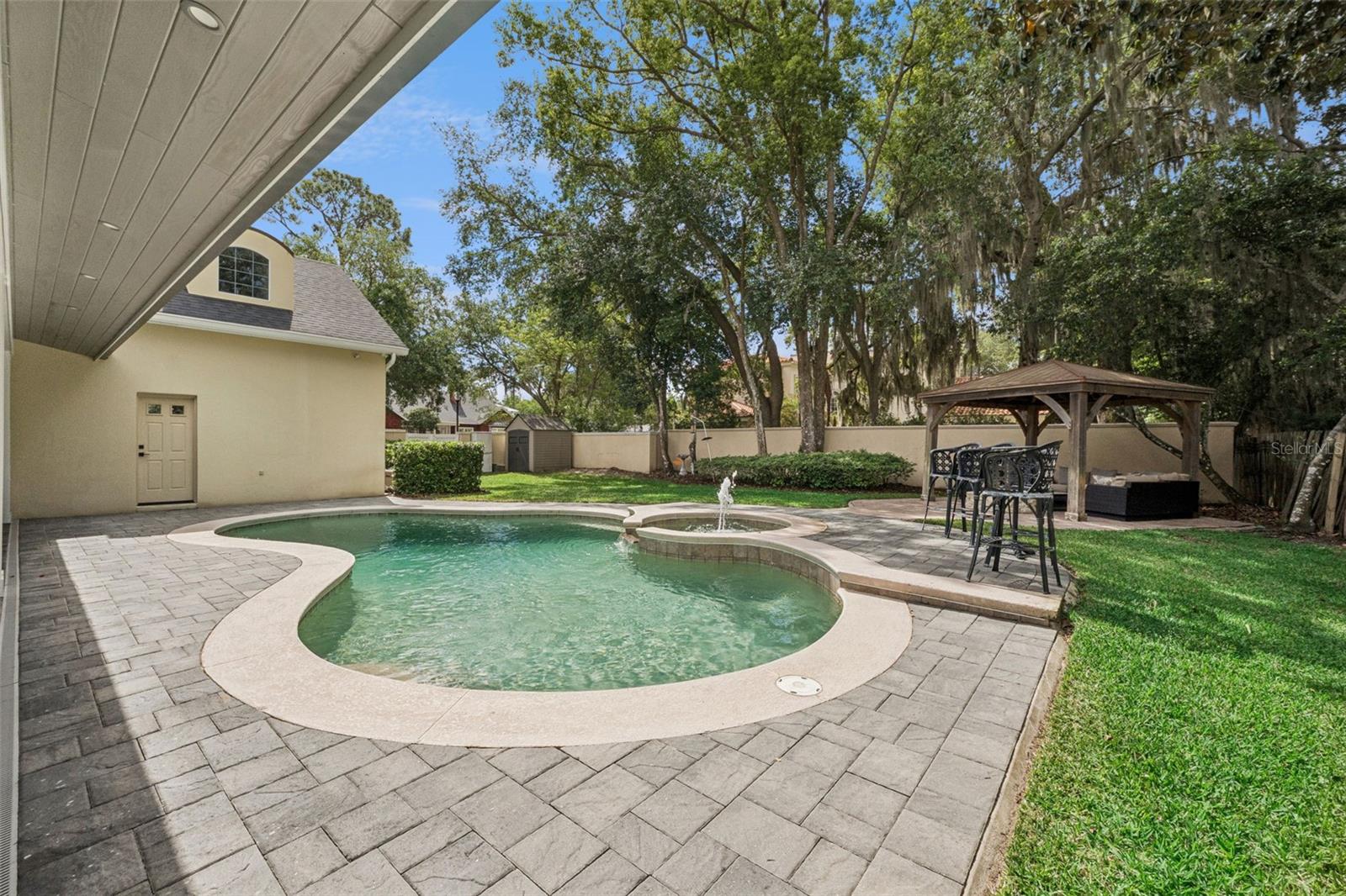 Pool and back yard area