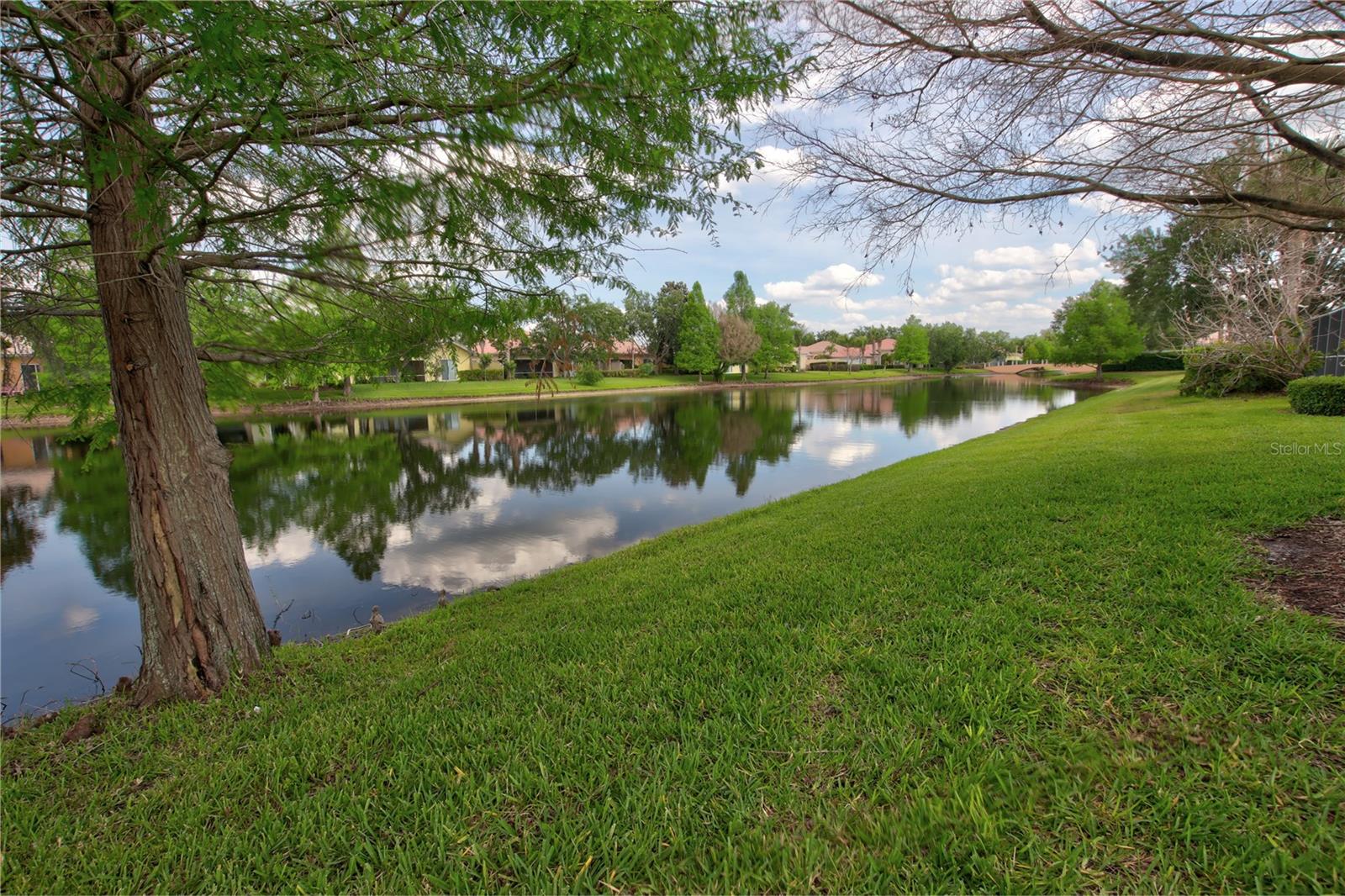 11801 FAN TAIL LANE, Orlando, FL 32827 11801 FAN TAIL LANE, Orlando, FL 32827