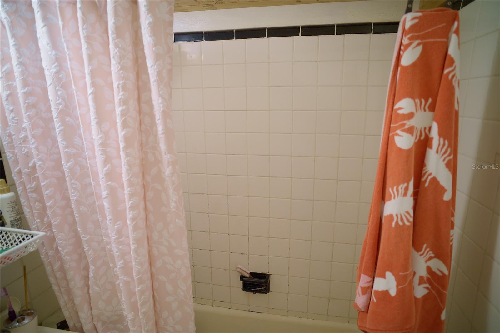 2119 S FERN CREEK AVENUE, Orlando, FL 32806