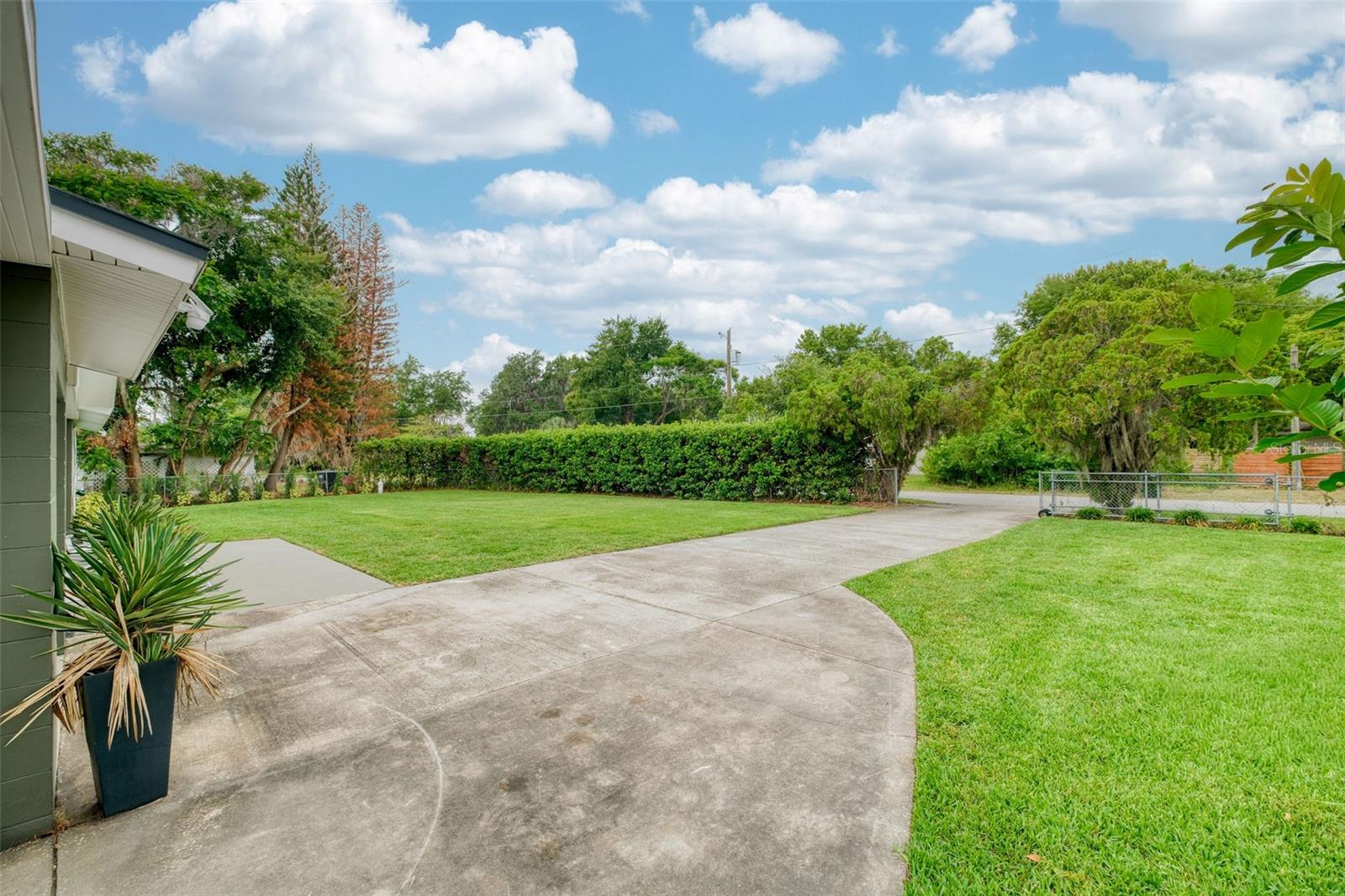 10-foot Viburnum Hedges for Privacy