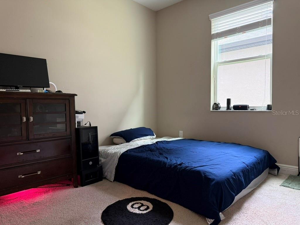 7749 BRONZE OAK DRIVE, Wesley Chapel, FL 33545