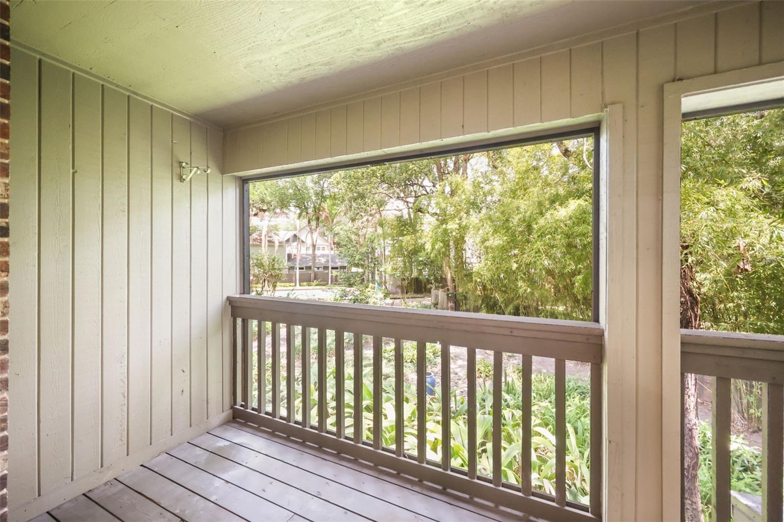 covered deck view 2