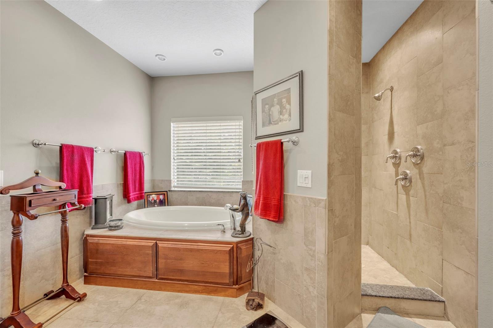 Spa Tub and Separate Shower