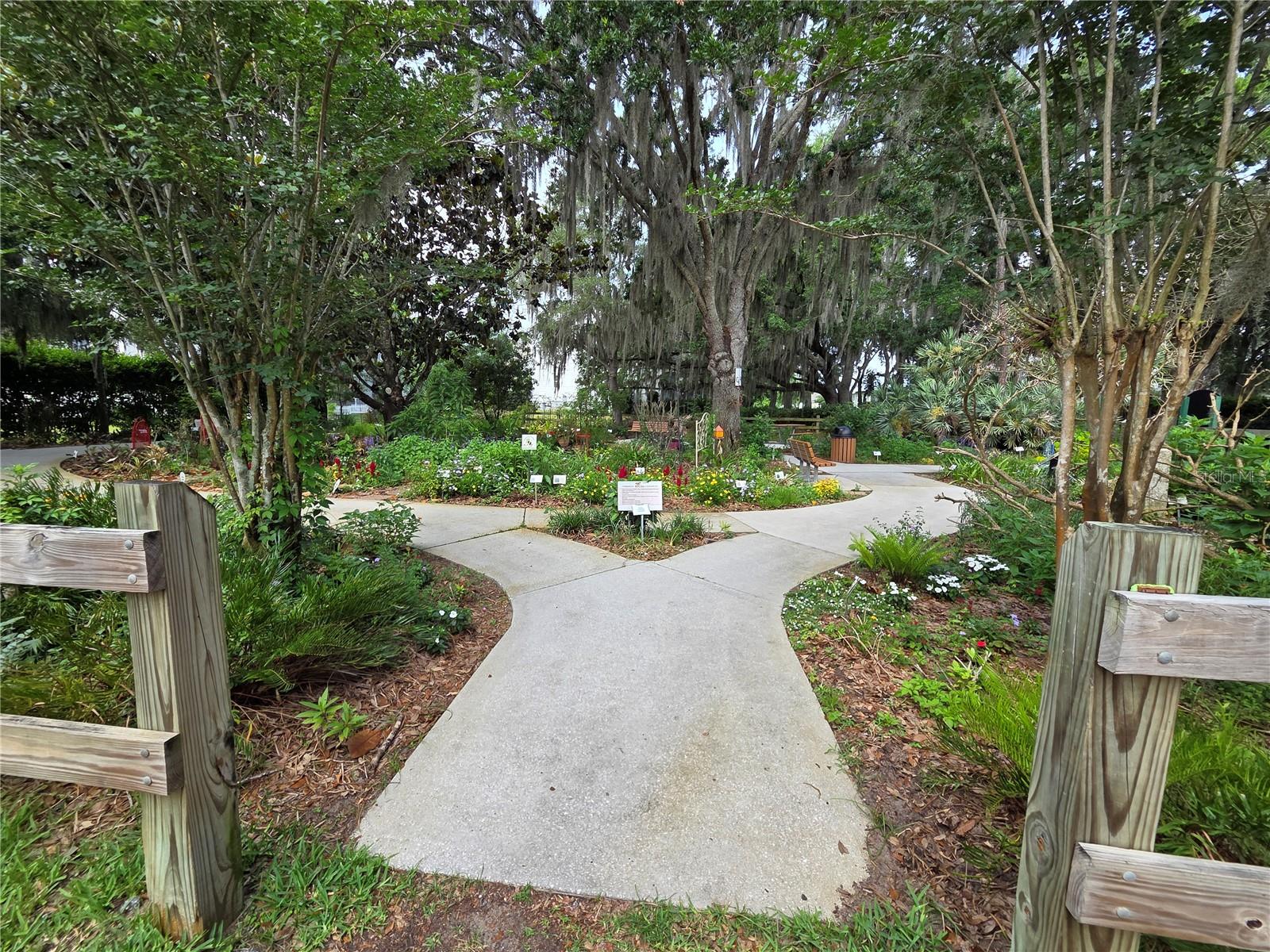Another view of the butterfly garden near by Lakeview Reserve