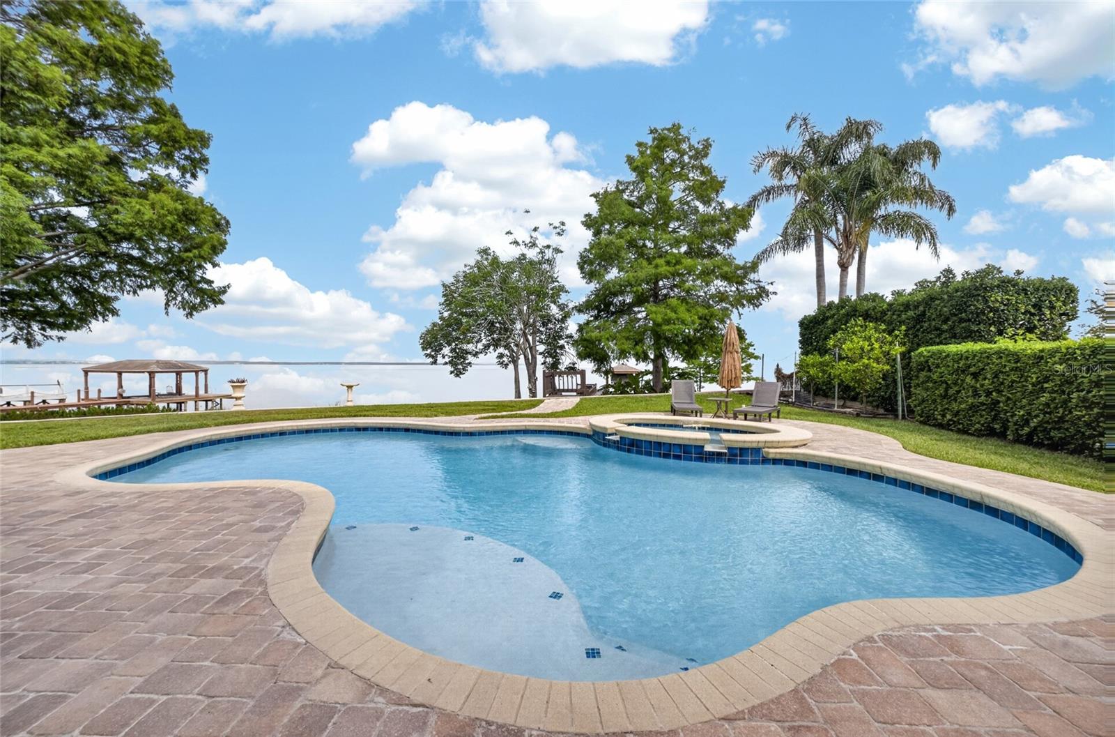 Amazing outdoor living space with well designed heated pool and raised spa, lounging area and dock