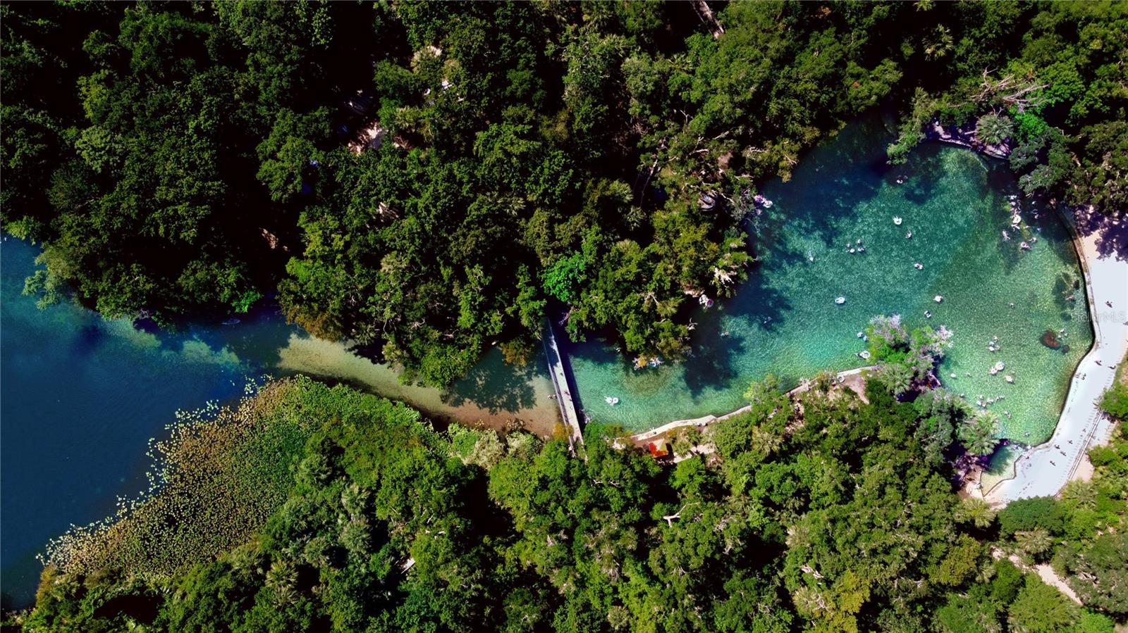 Wekiwa Springs State Park ~1 Mile Away!