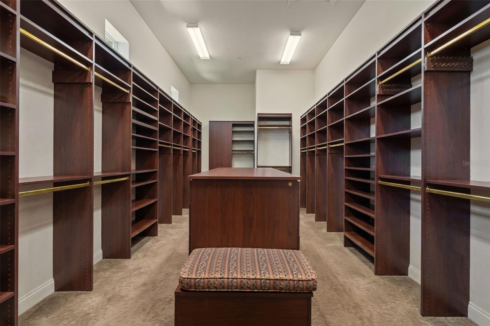 primary bedroom: walk in closet