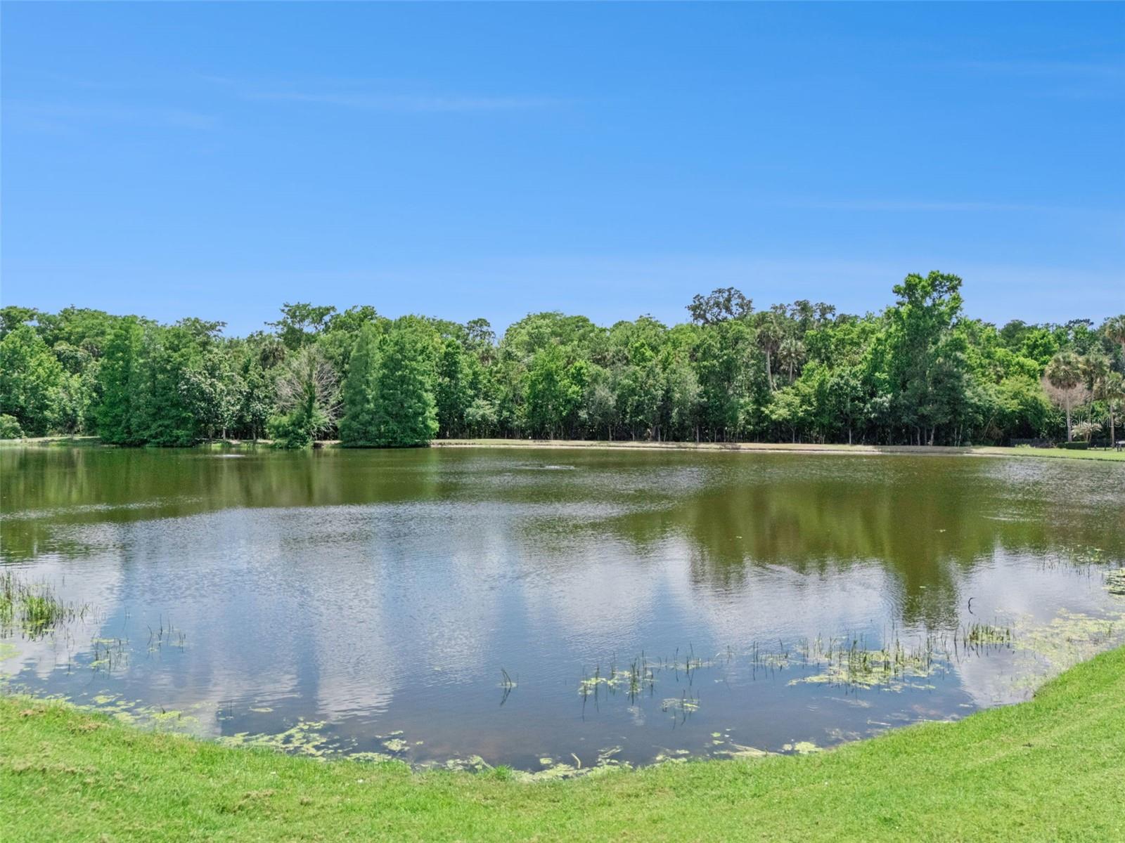 930 CROTON ROAD, Celebration, FL 34747