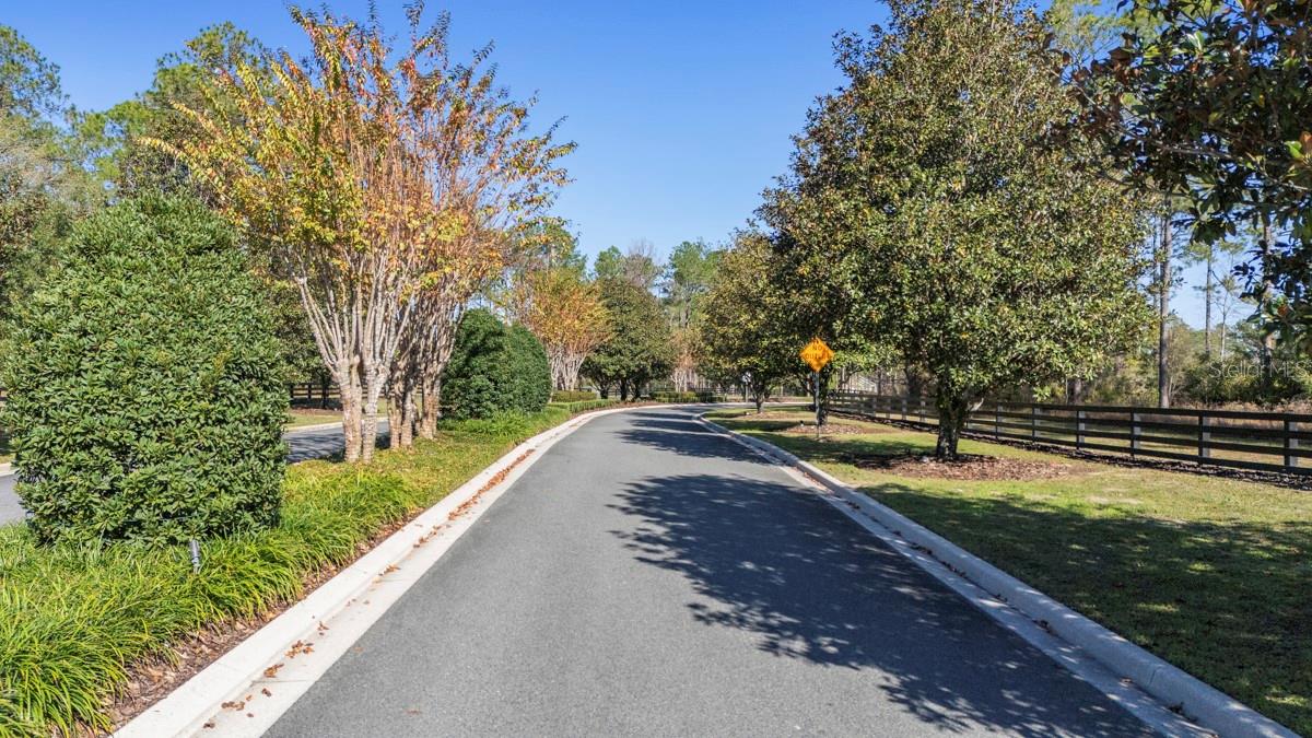 24250 DEEP SPRINGS LOOP, Eustis, FL 32736