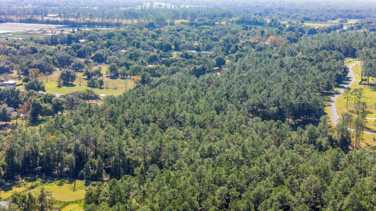 24250 DEEP SPRINGS LOOP, Eustis, FL 32736