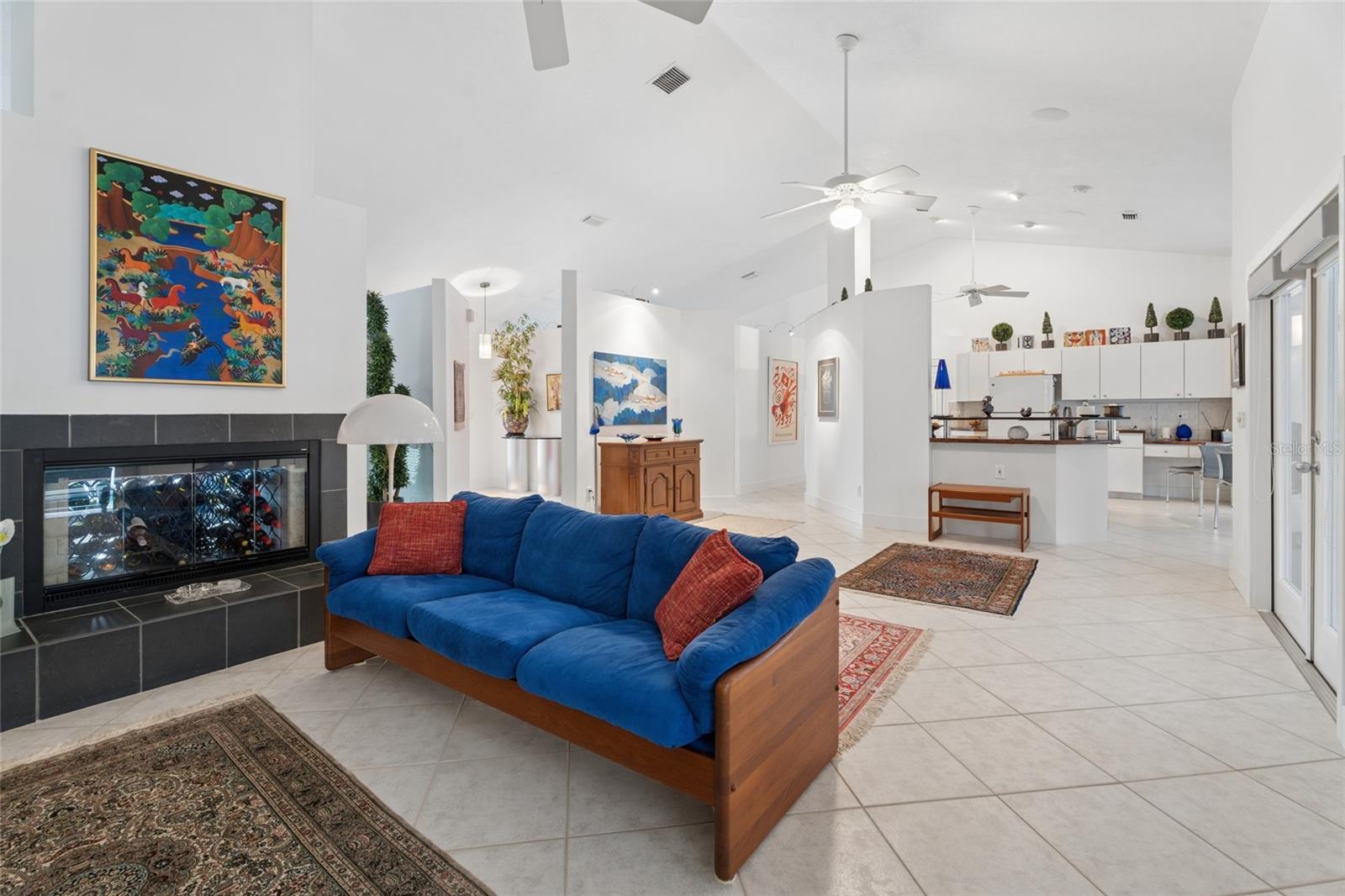Family Room with a FirePlace Family Room with a FirePlace