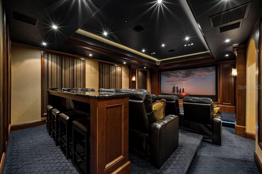 Theatre Room