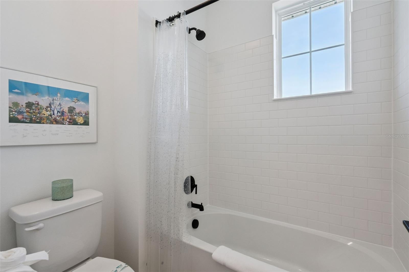 Shower/Tub combo