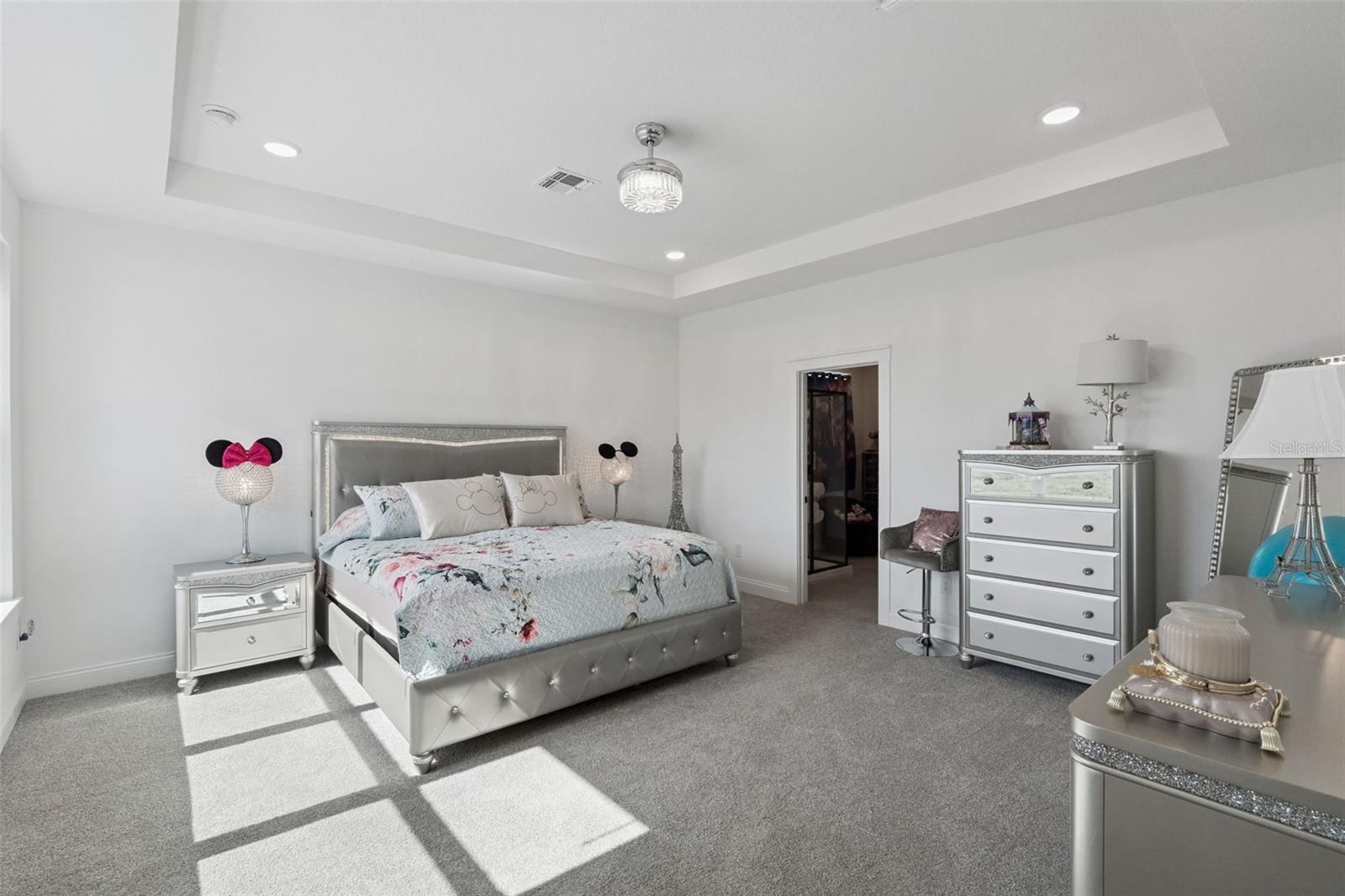 Large Primary Suite w/tray ceiling