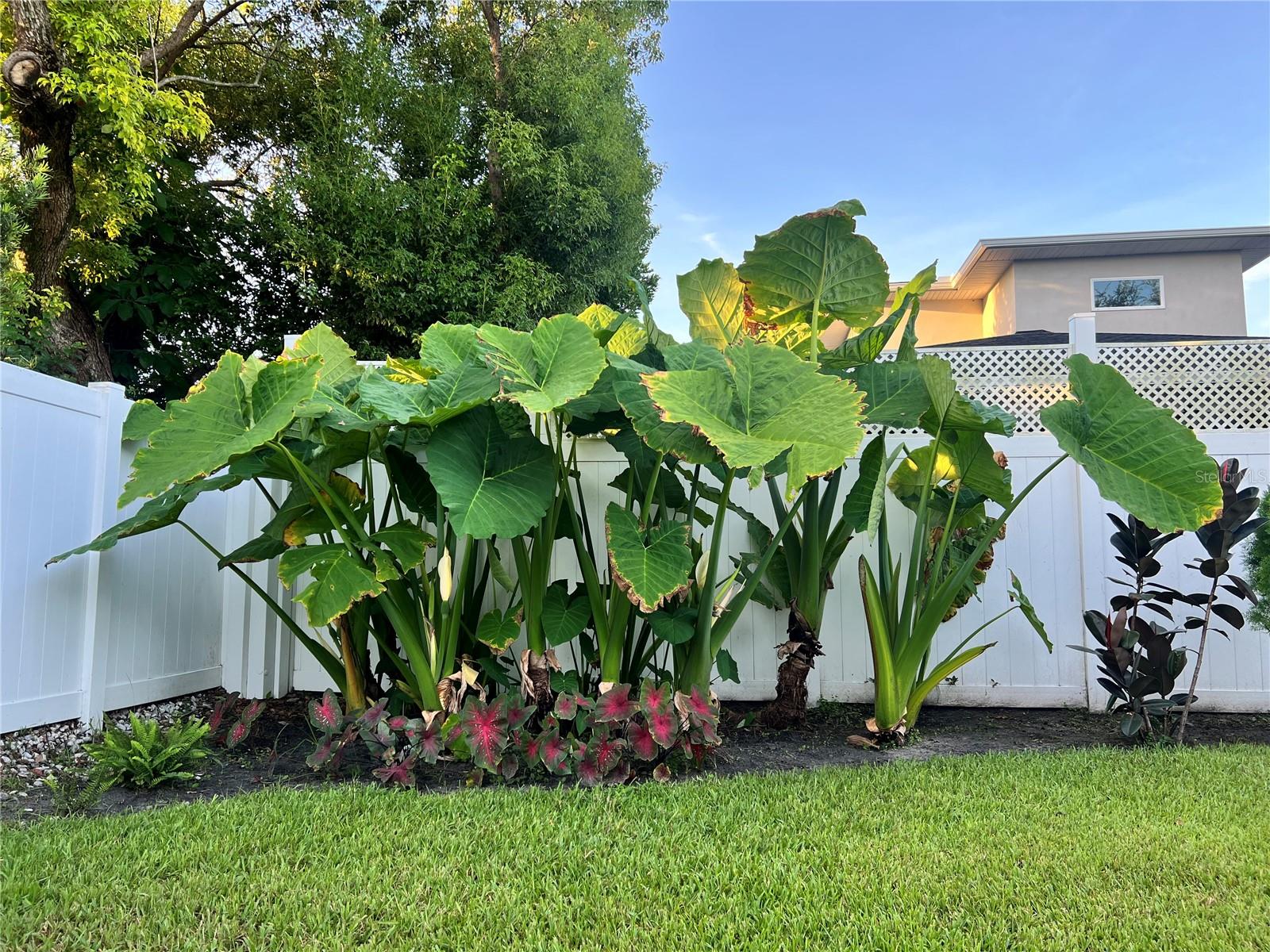 840 W CANTON AVENUE, Winter Park, FL 32789
