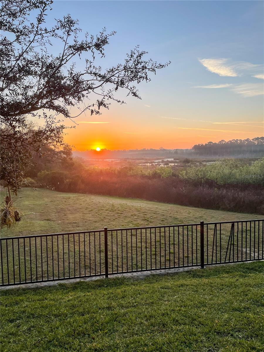 sunset view from backyard featuring conservation view.