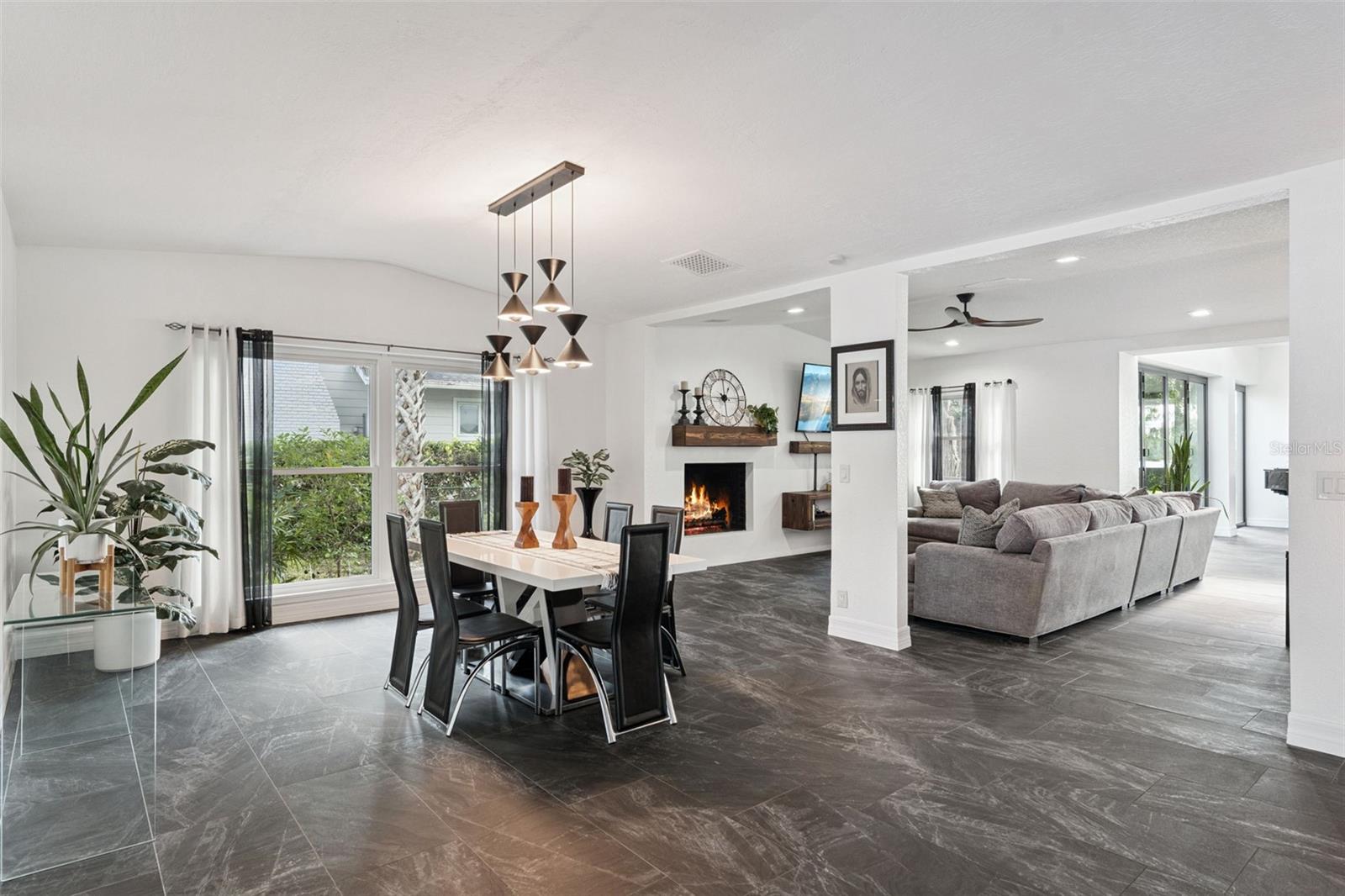 Dinette and living room