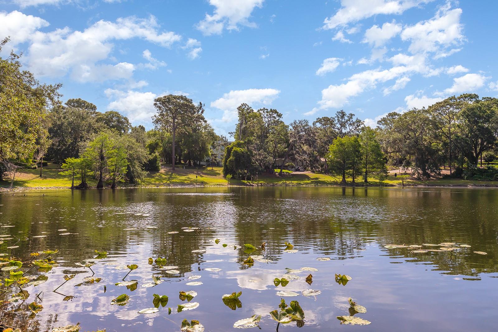 Lake Chelton