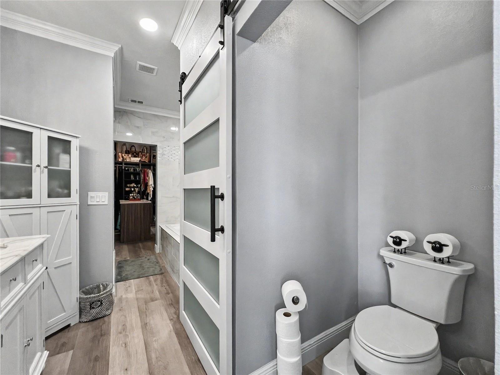 816 RUNNER OAK STREET, Celebration, FL 34747