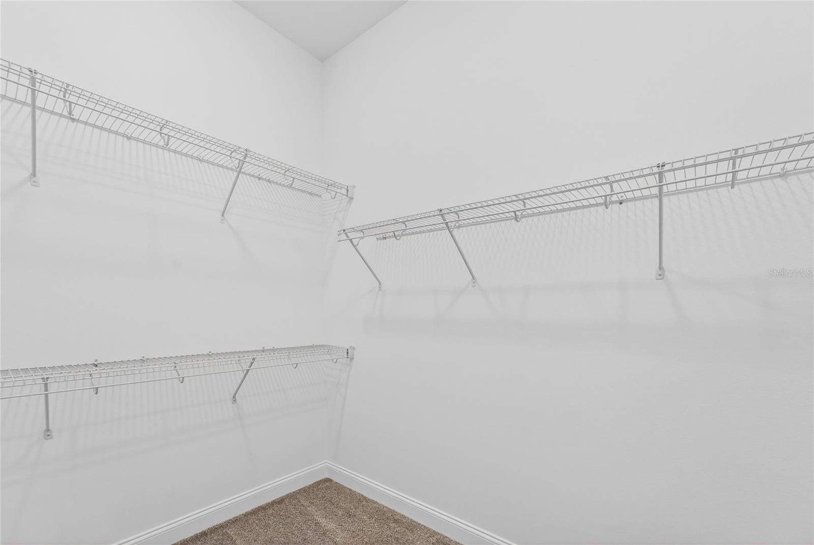 15174 FIELD DAISY DRIVE, Winter Garden, FL 34787