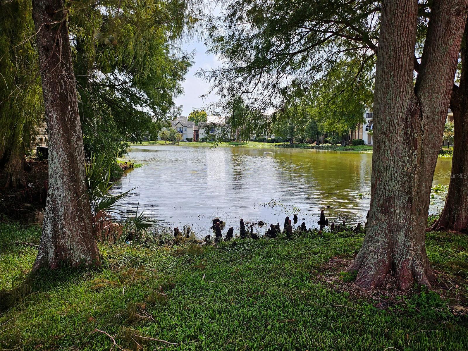 1916 LAKE ATRIUMS CIRCLE, #25, Orlando, FL 32839