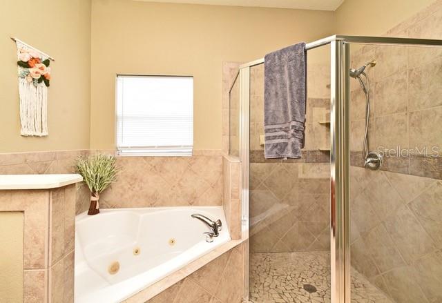 11994 MCKINNON ROAD, Windermere, FL 34786