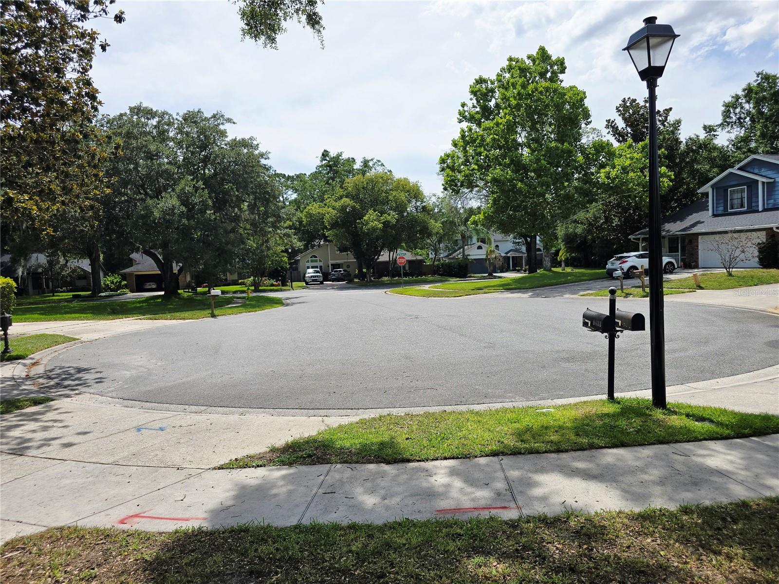 Street view