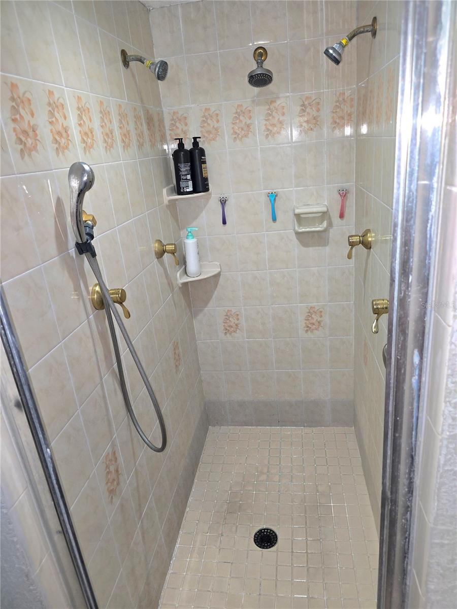 Primary Bathroom Shower