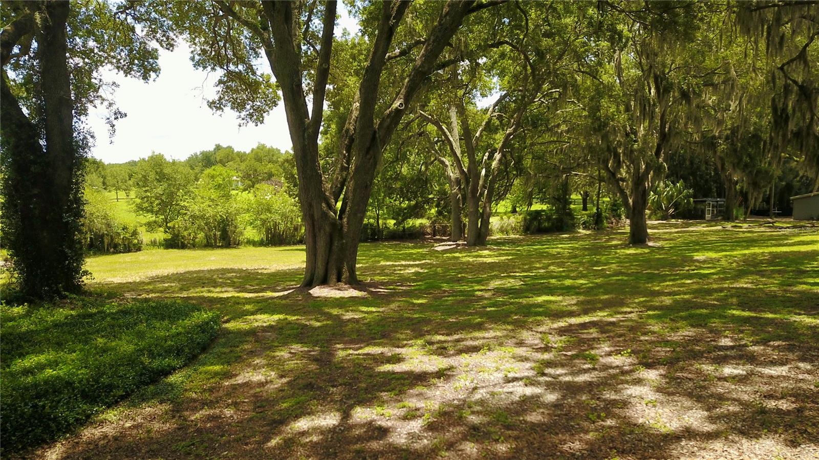 16945 W PHIL C PETERS ROAD, Winter Garden, FL 34787