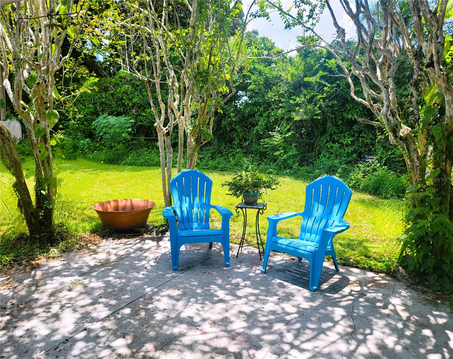 Lush back yard green space . NO LAWNMOWER NEEDED! Yard care included, as are full-sized washer & dryer