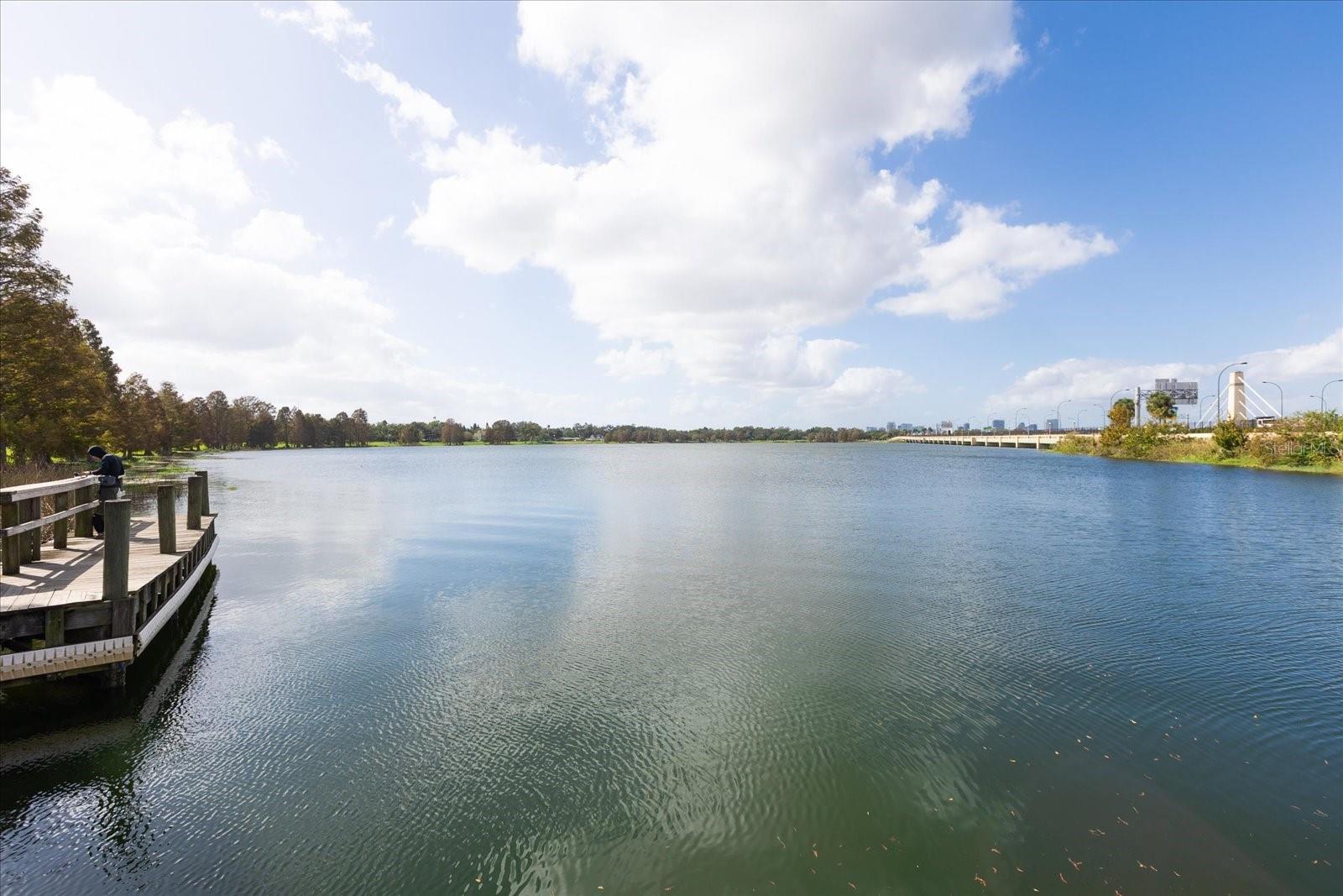 4401 ROCKLEDGE ROAD, Orlando, FL 32807