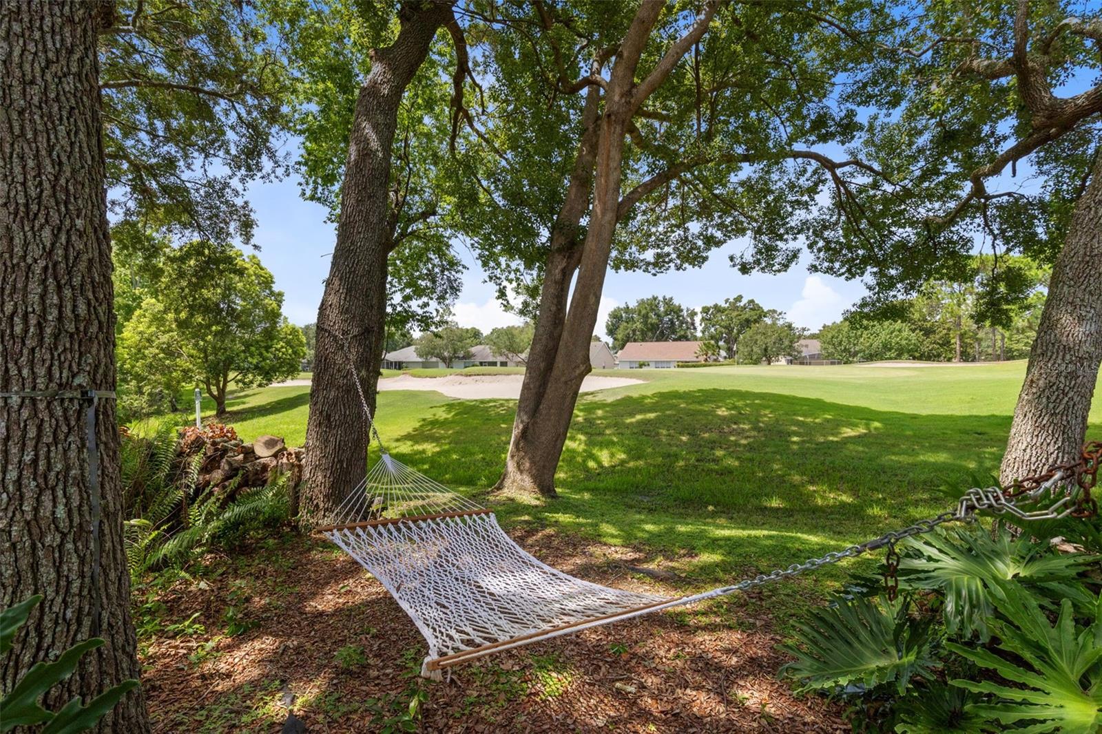 8052 LAUREL RIDGE DRIVE, Mount Dora, FL 32757
