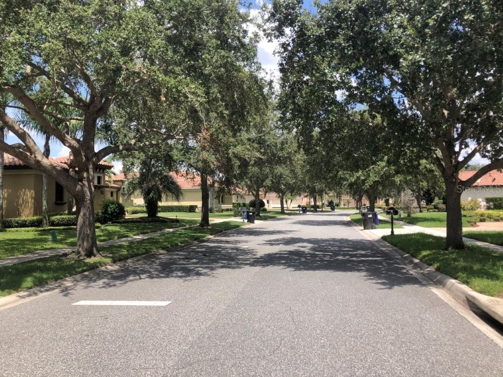 Street/neighborhood
